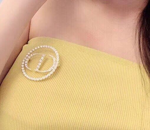 Dior飾品 迪奧經典熱銷款圓形logo胸針  zgd1084